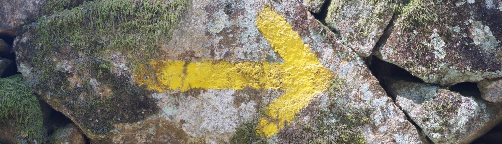 about walking and cycling, …